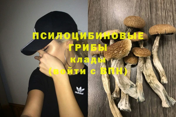 стаф Алексеевка