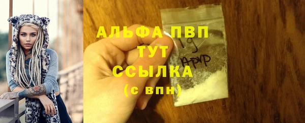 хмурый Алзамай