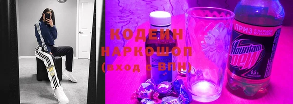 хмурый Алзамай