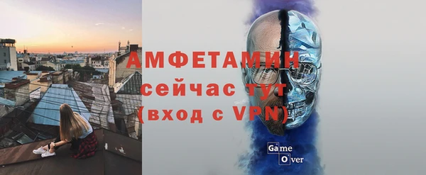 хмурый Алзамай