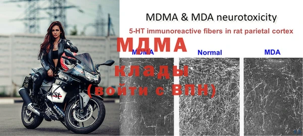 хмурый Алзамай