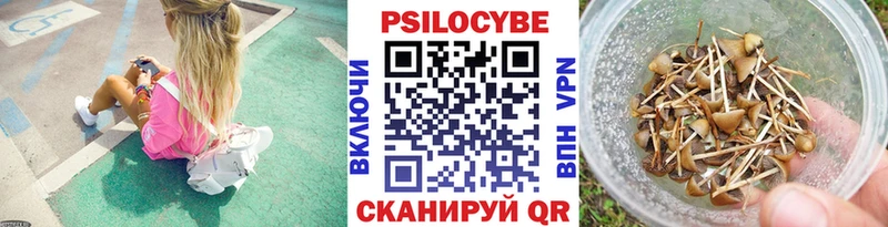 закладки  Спасск-Рязанский  Псилоцибиновые грибы GOLDEN TEACHER 